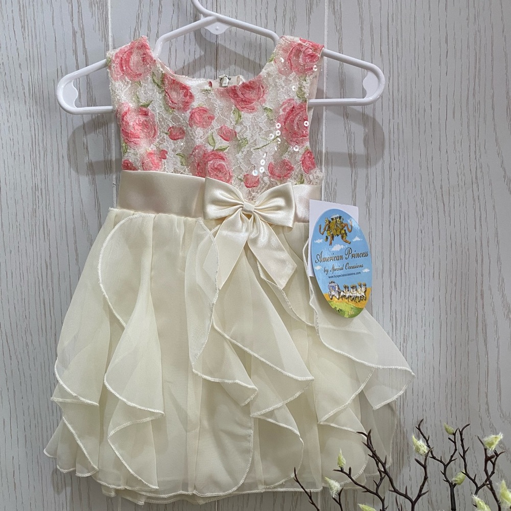 American Princess Rose Floral Infgr Dress Size 18Months